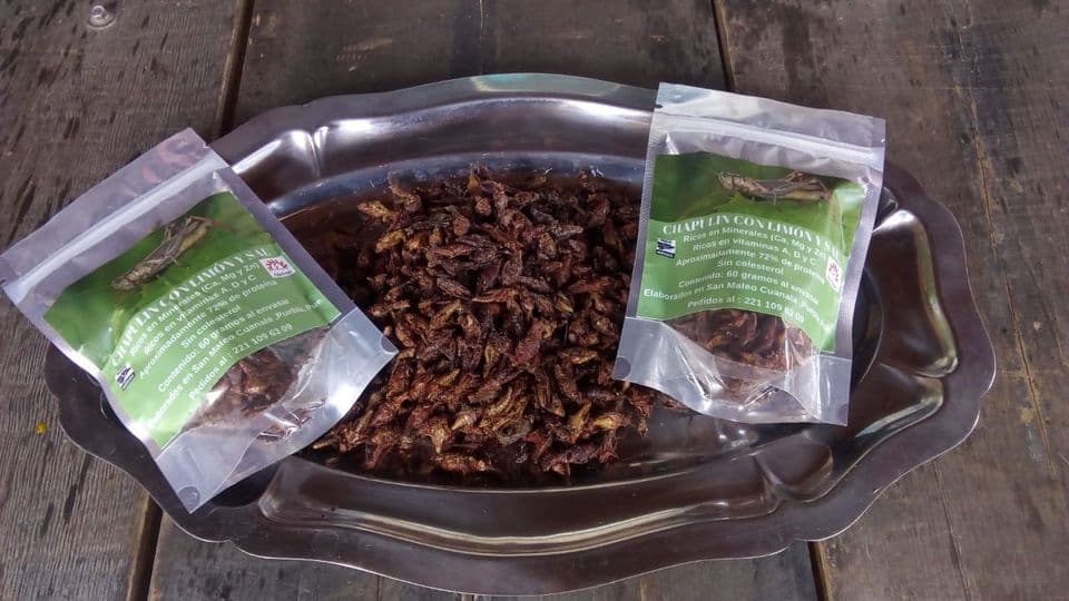 Chapulines con Limón y Sal 60 Gramos