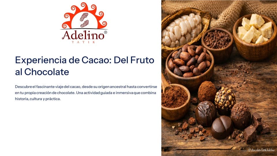 Experiencia Sensorial, del Grano de Cacao al Chocolate Artesanal